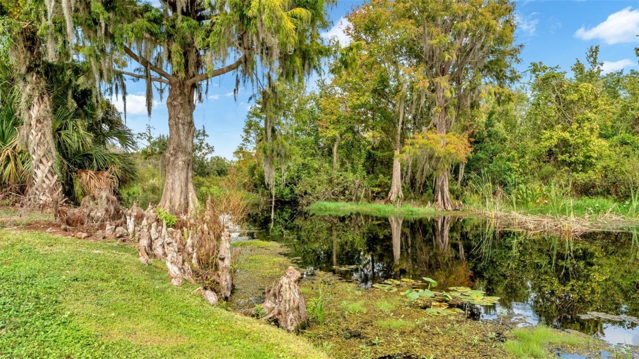 237 Kent Court, Haines City, FL 33844 Photo