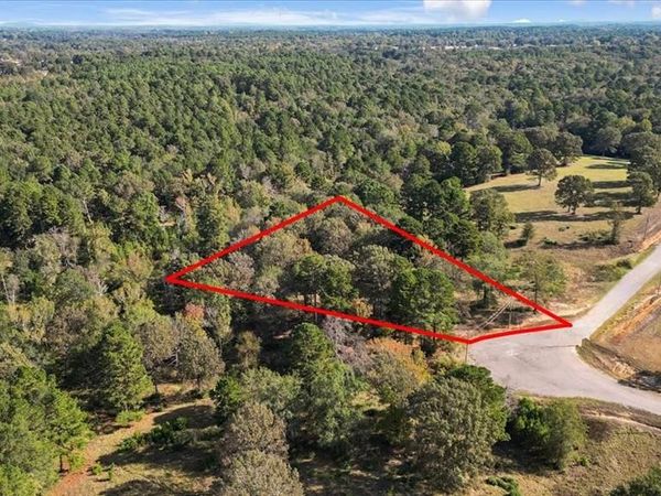 TBD PR 3398 Road, Big Sandy, TX 75755