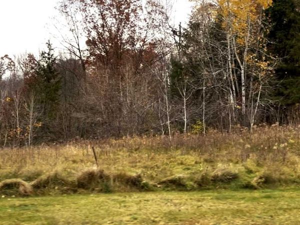LOT 7 Wilderness Hills Lane, Luck, WI 54853