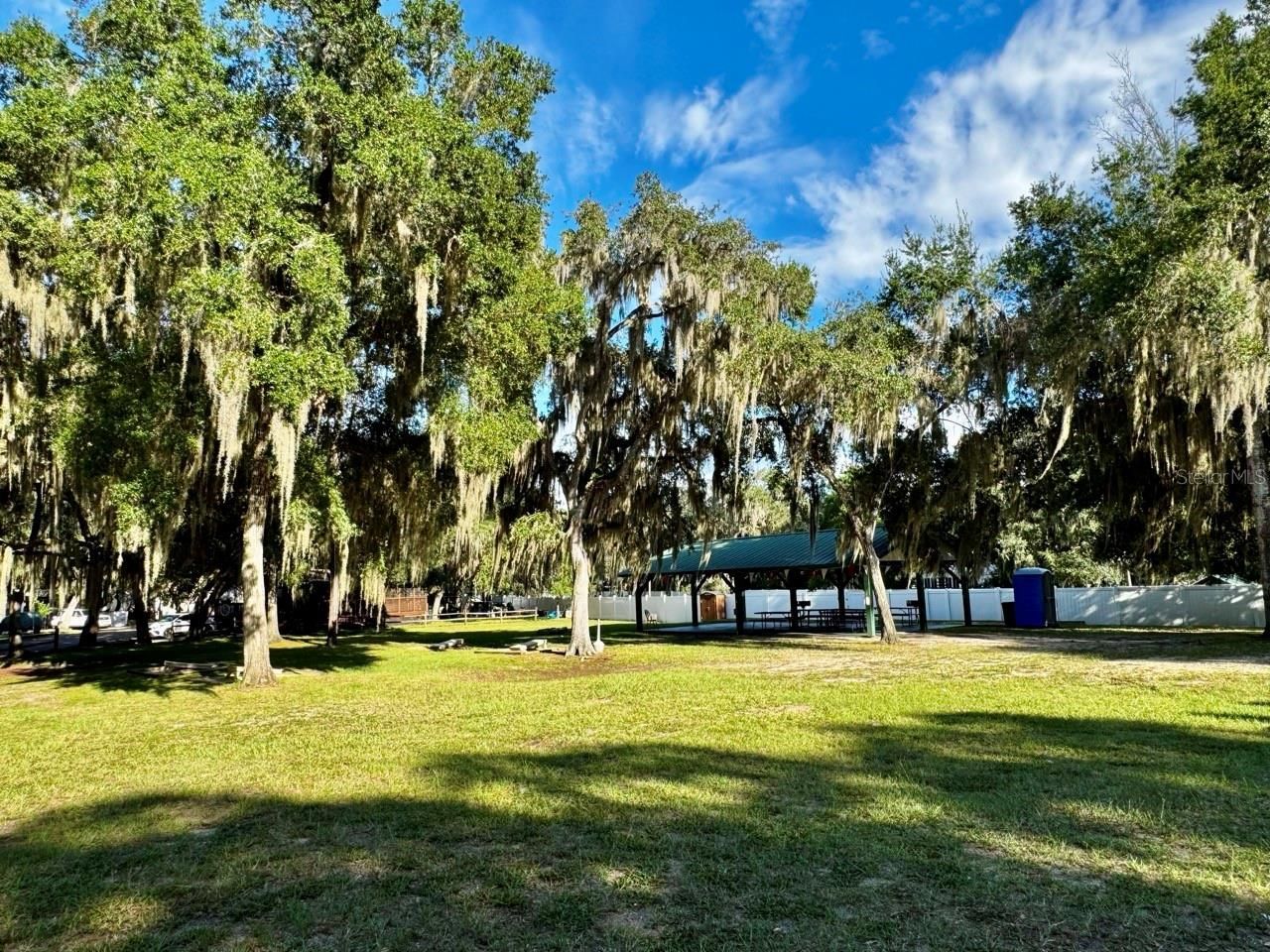 14423 NE 252nd Court Road, Salt Springs, FL 32134 Photo