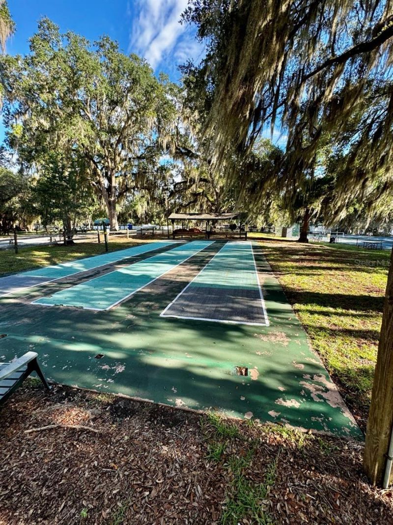 14423 NE 252nd Court Road, Salt Springs, FL 32134 Photo