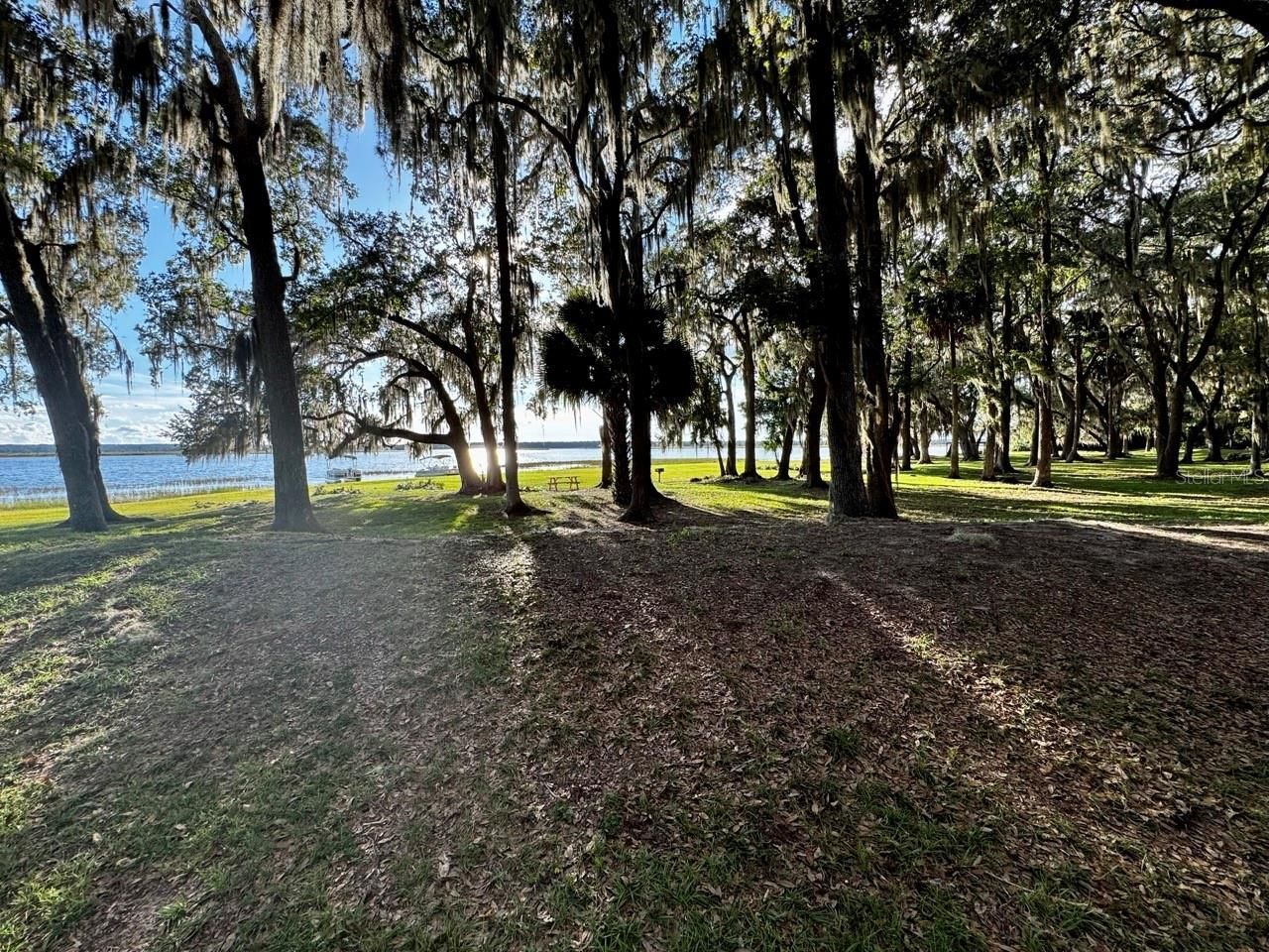 14423 NE 252nd Court Road, Salt Springs, FL 32134 Photo