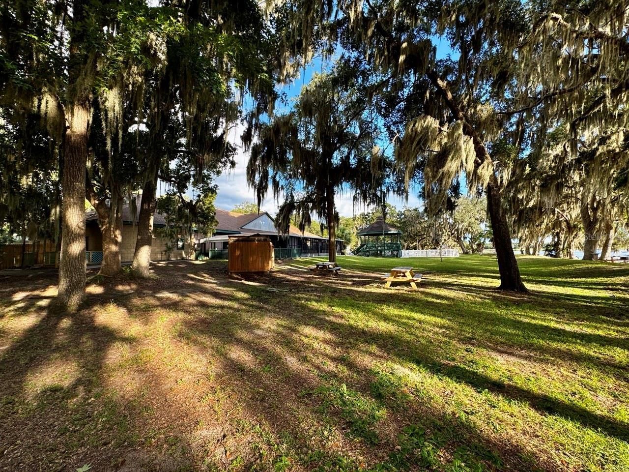 14423 NE 252nd Court Road, Salt Springs, FL 32134 Photo