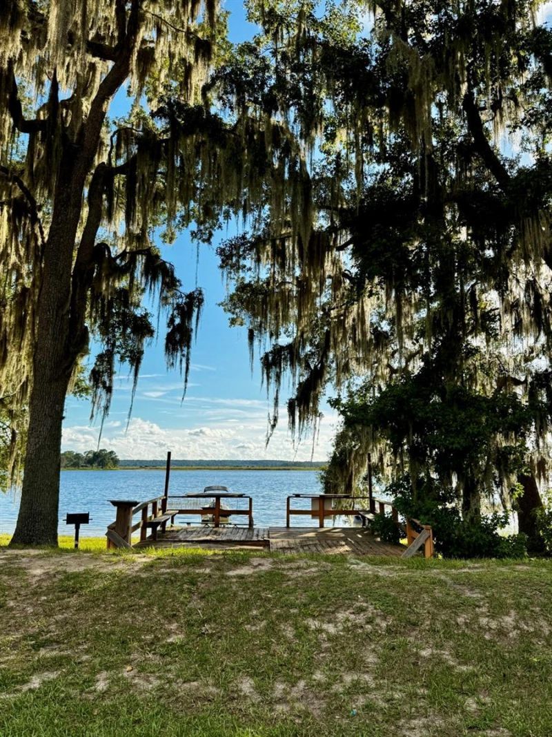 14423 NE 252nd Court Road, Salt Springs, FL 32134 Photo