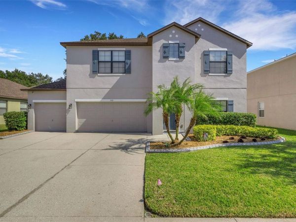 313 OAK LANDING DRIVE, MULBERRY, FL 33860