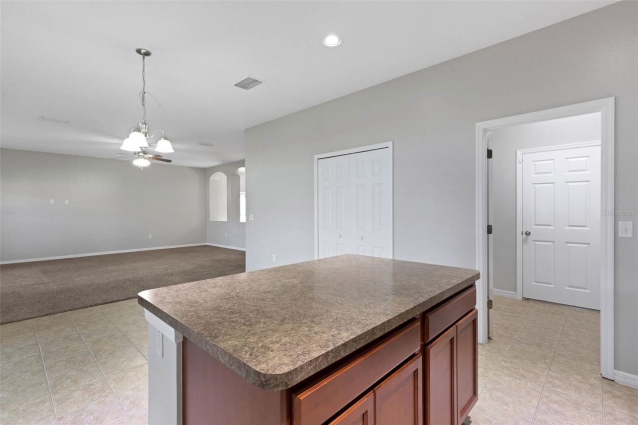 313 Oak Landing Drive, Mulberry, FL 33860 Photo