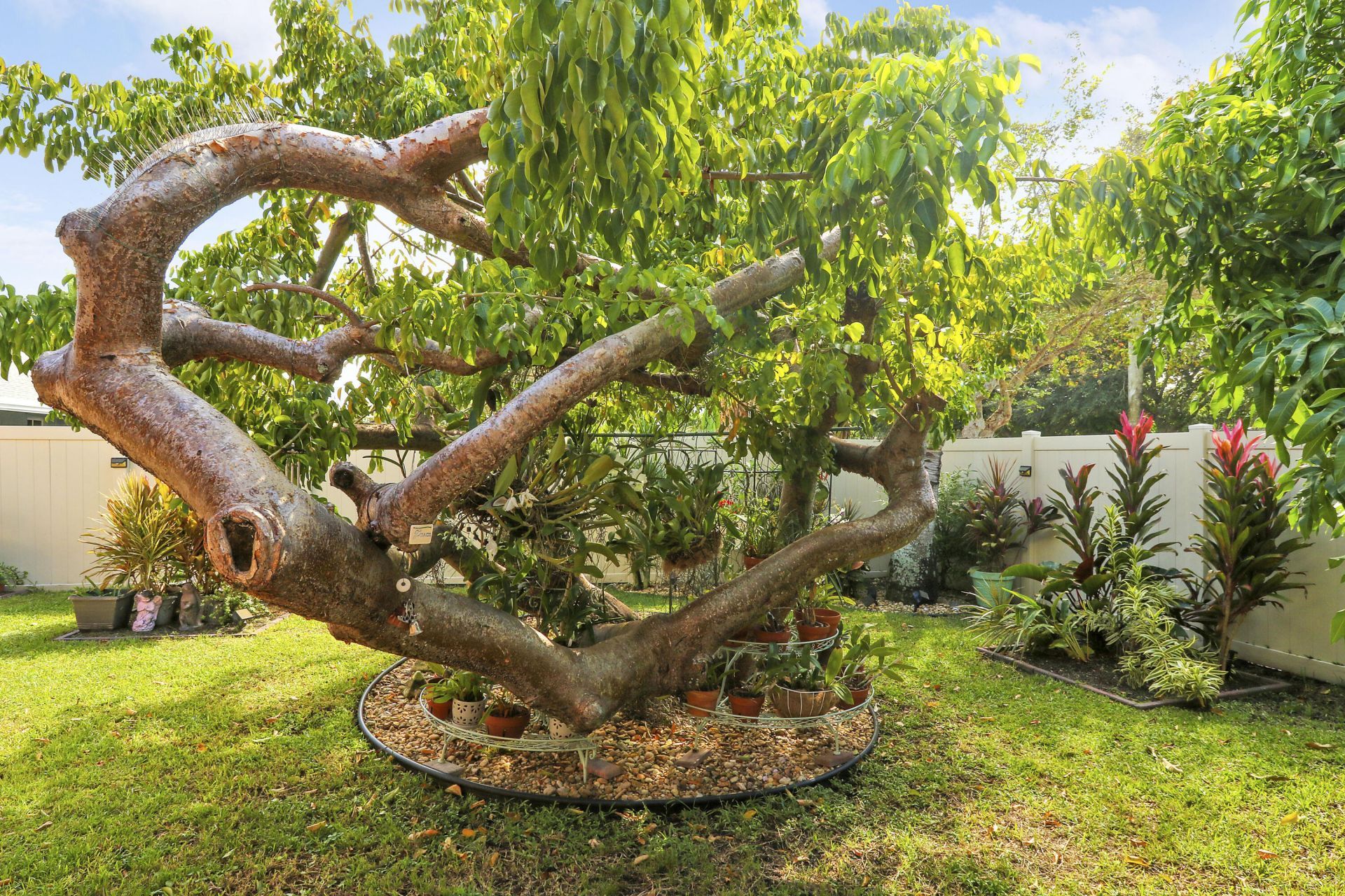 10438 Pippin Lane, Royal Palm Beach, FL 33411 Photo