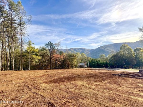 Lot 3 Peachie Way, Cosby, TN 37722