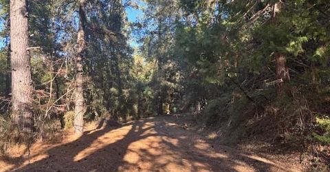 16272 Highway 26, Glencoe, CA 95232 Photo