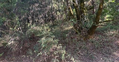 16272 Highway 26, Glencoe, CA 95232 Photo