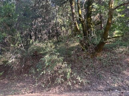 16272 Highway 26, Glencoe, CA 95232 Photo