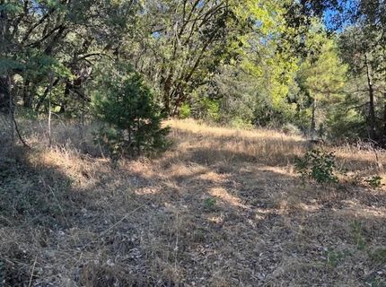 16272 Highway 26, Glencoe, CA 95232 Photo