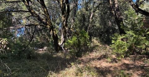 16272 Highway 26, Glencoe, CA 95232 Photo