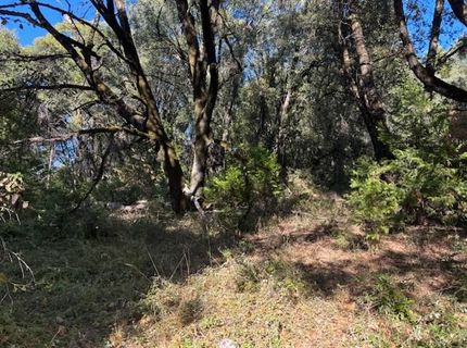 16272 Highway 26, Glencoe, CA 95232 Photo