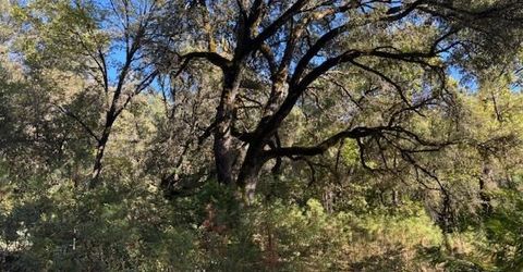 16272 Highway 26, Glencoe, CA 95232 Photo