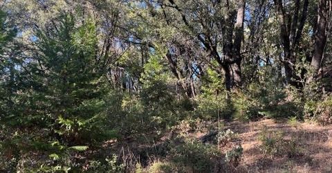 16272 Highway 26, Glencoe, CA 95232 Photo