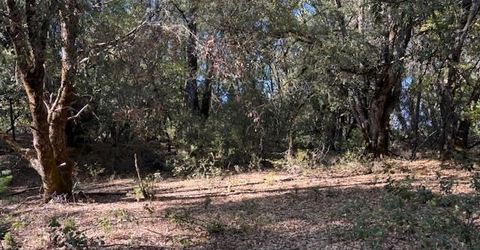 16272 Highway 26, Glencoe, CA 95232 Photo