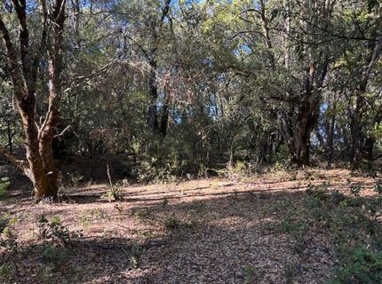 16272 Highway 26, Glencoe, CA 95232 Photo