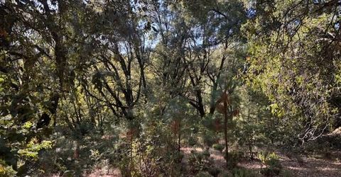 16272 Highway 26, Glencoe, CA 95232 Photo