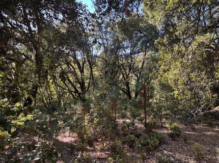16272 Highway 26, Glencoe, CA 95232 Photo