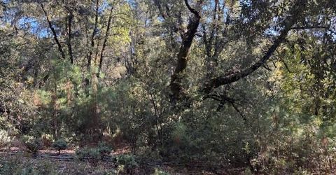 16272 Highway 26, Glencoe, CA 95232 Photo
