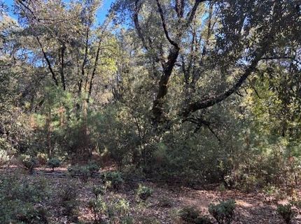 16272 Highway 26, Glencoe, CA 95232 Photo