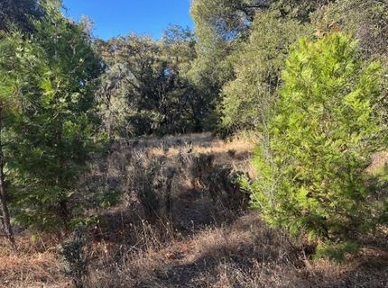 16272 Highway 26, Glencoe, CA 95232 Photo