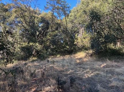 16272 Highway 26, Glencoe, CA 95232 Photo
