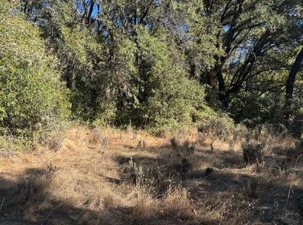 16272 Highway 26, Glencoe, CA 95232 Photo