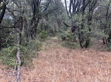 16272 Highway 26, Glencoe, CA 95232 Photo