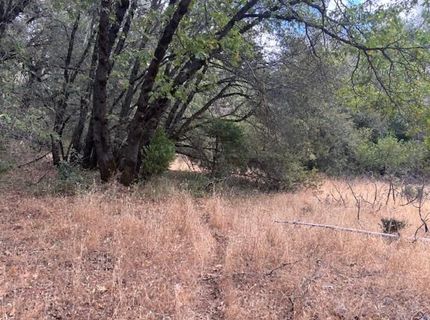 16272 Highway 26, Glencoe, CA 95232 Photo