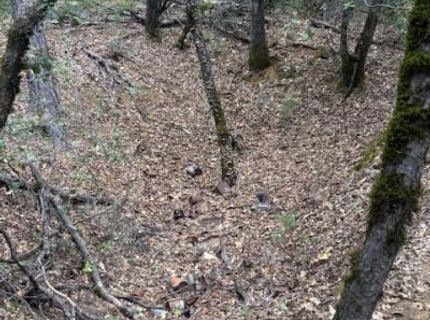 16272 Highway 26, Glencoe, CA 95232 Photo