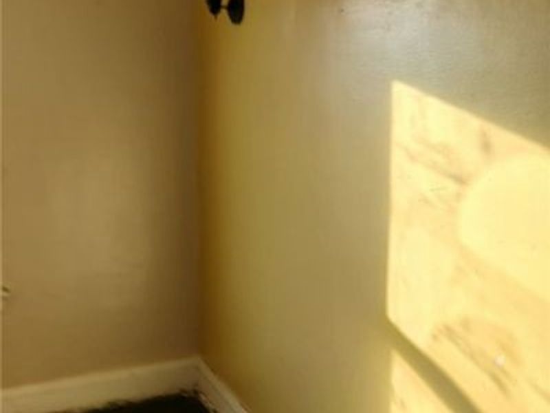 475 E 118th Street, Cleveland, OH 44108 Photo 14