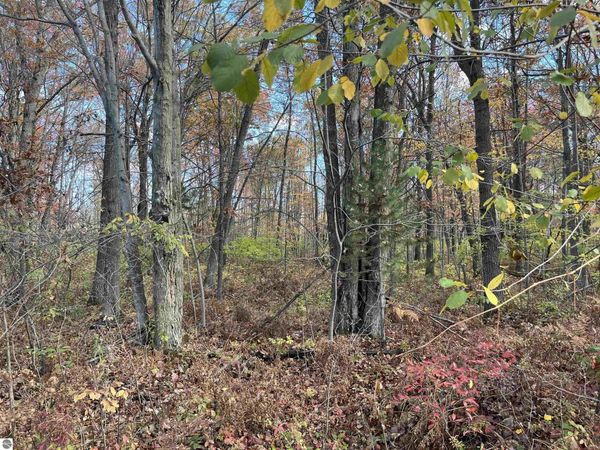Husak Road, Omer, MI 48749