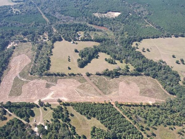 TBD-A County Road 4172D , Laneville, TX 75667