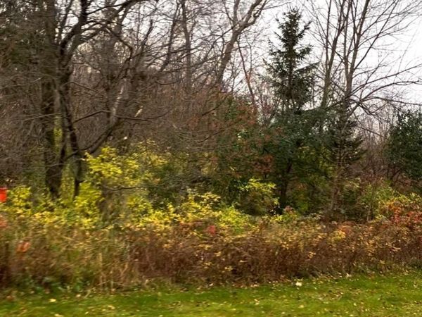 LOT 25 Wilderness Hills Lane, Luck, WI 54853