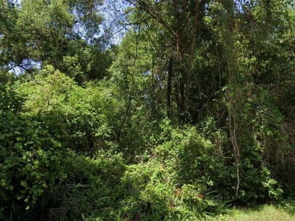 SE 144TH LANE, SUMMERFIELD, FL 34491