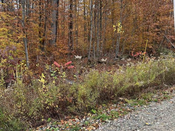 0 Upper Notch Road, Bristol, VT 05443