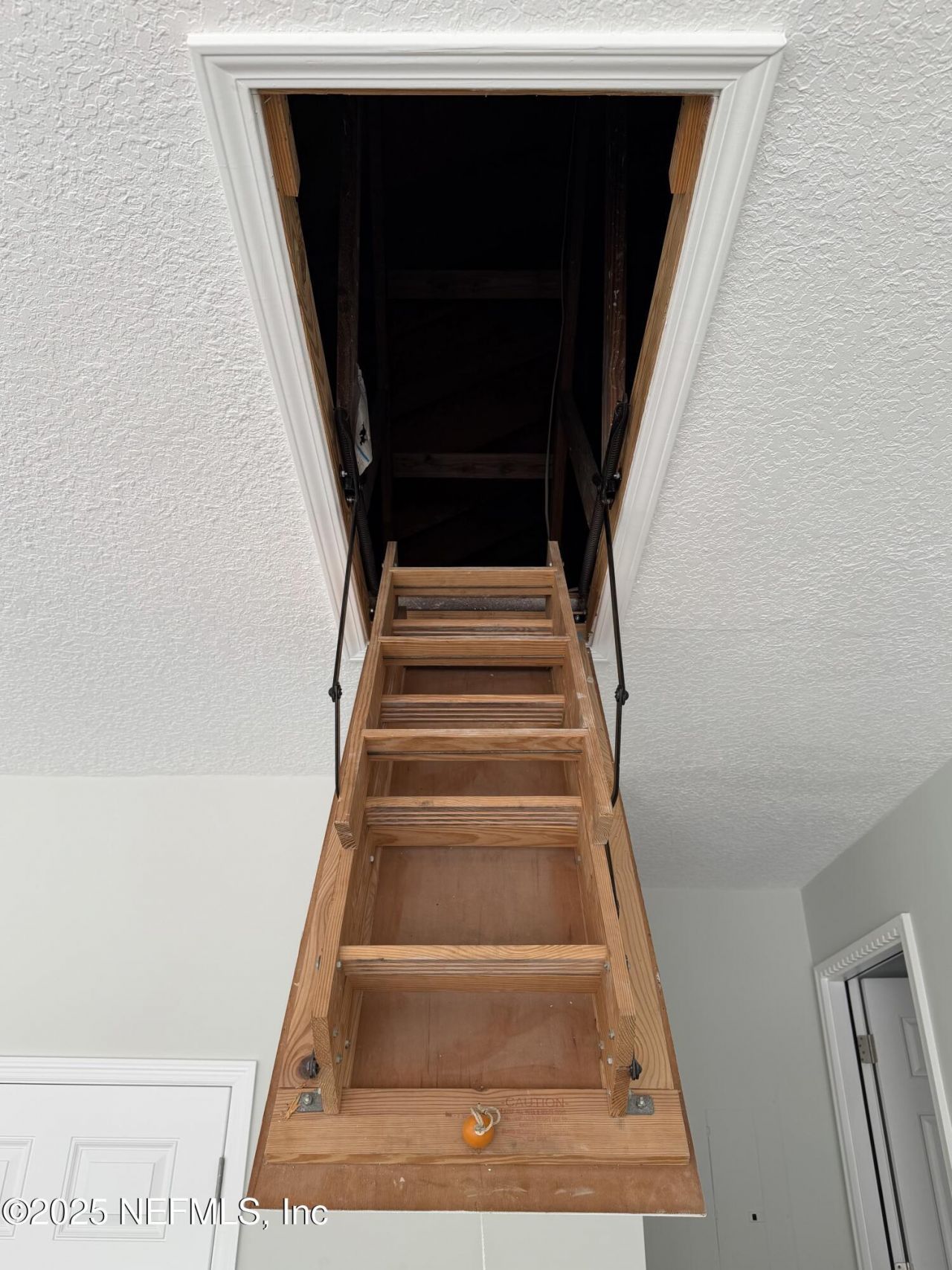 3030 Ogilvie Road, Jacksonville, FL 32218 Photo