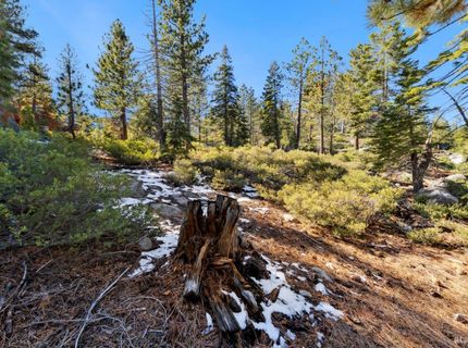 2311 Chiapa Drive, South Lake Tahoe, CA 96150 Photo