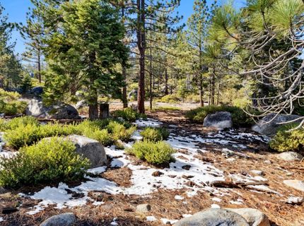 2311 Chiapa Drive, South Lake Tahoe, CA 96150 Photo