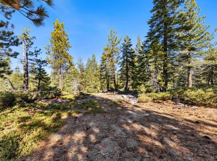 2311 Chiapa Drive, South Lake Tahoe, CA 96150 Photo