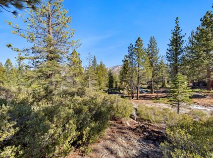 2311 Chiapa Drive, South Lake Tahoe, CA 96150 Photo