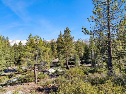 2311 Chiapa Drive, South Lake Tahoe, CA 96150 Photo
