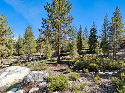 2311 Chiapa Drive, South Lake Tahoe, CA 96150 Photo