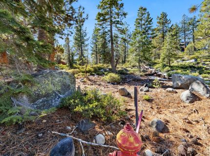 2311 Chiapa Drive, South Lake Tahoe, CA 96150 Photo