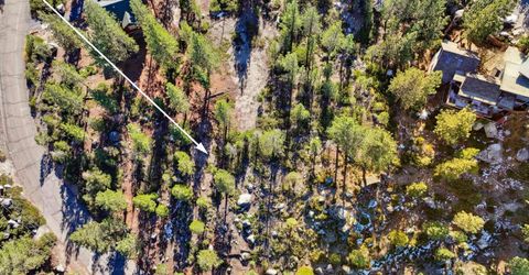 2311 Chiapa Drive, South Lake Tahoe, CA 96150 Photo