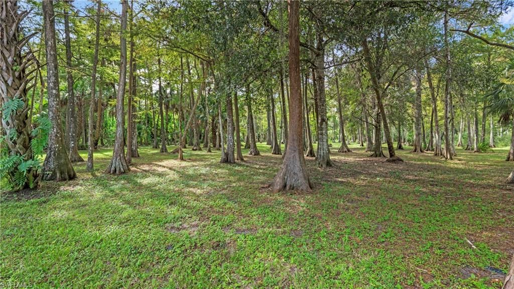 111 17th St Nw, Naples, FL 34120 Photo