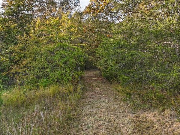 211 Nc 3600, Western Grove, AR 72685