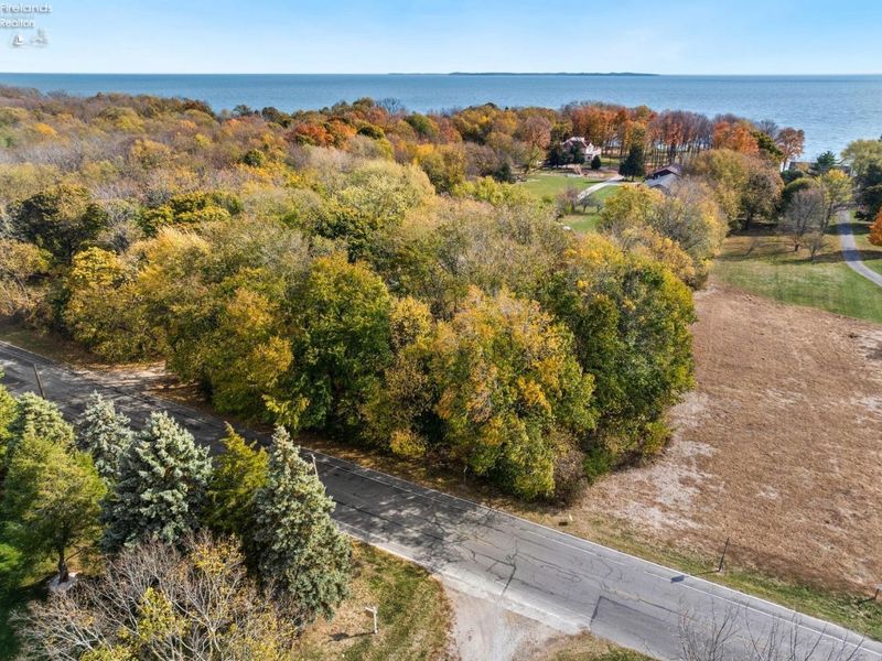 70 Niese Place, Put in Bay, OH 43456 Photo 69